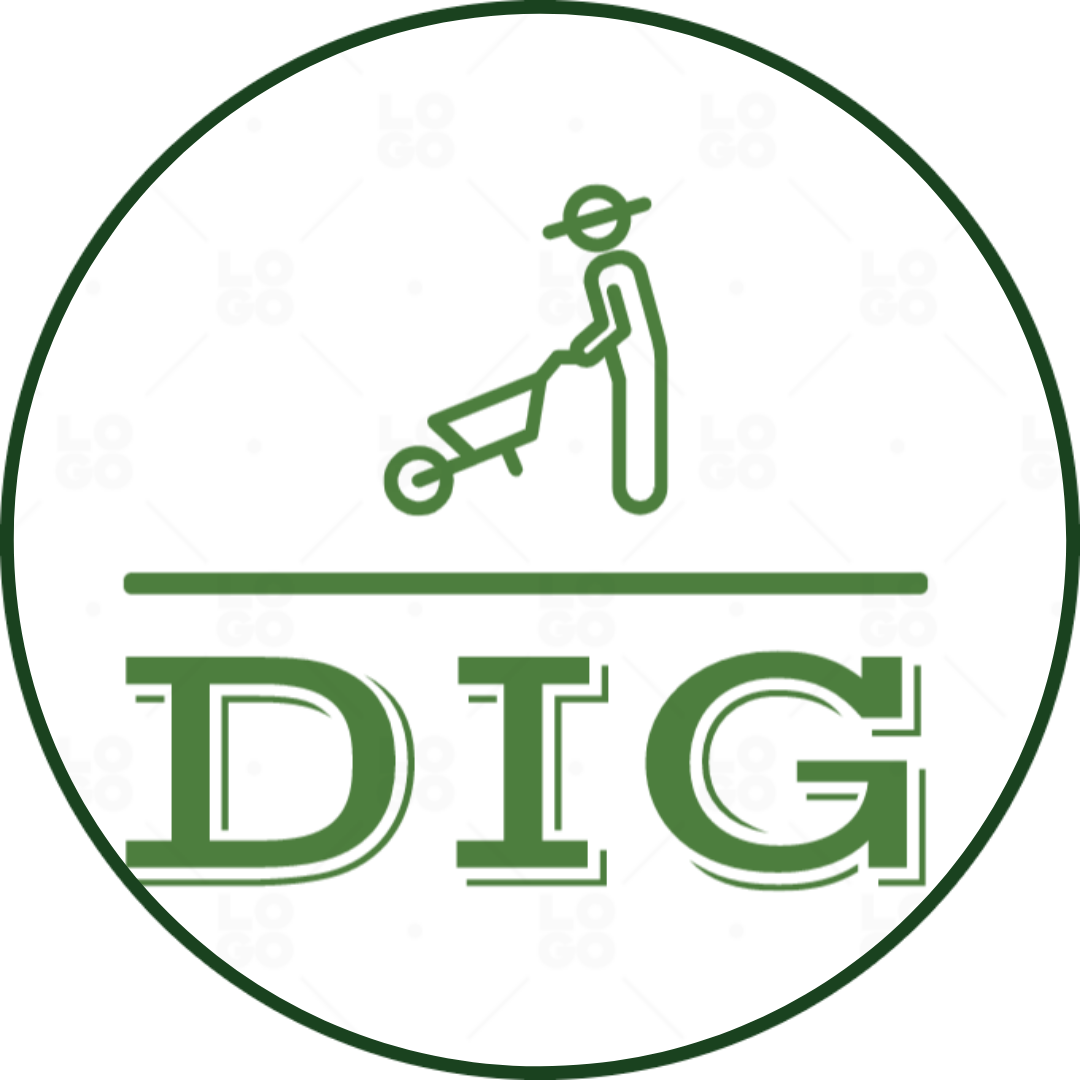 Dig Website
